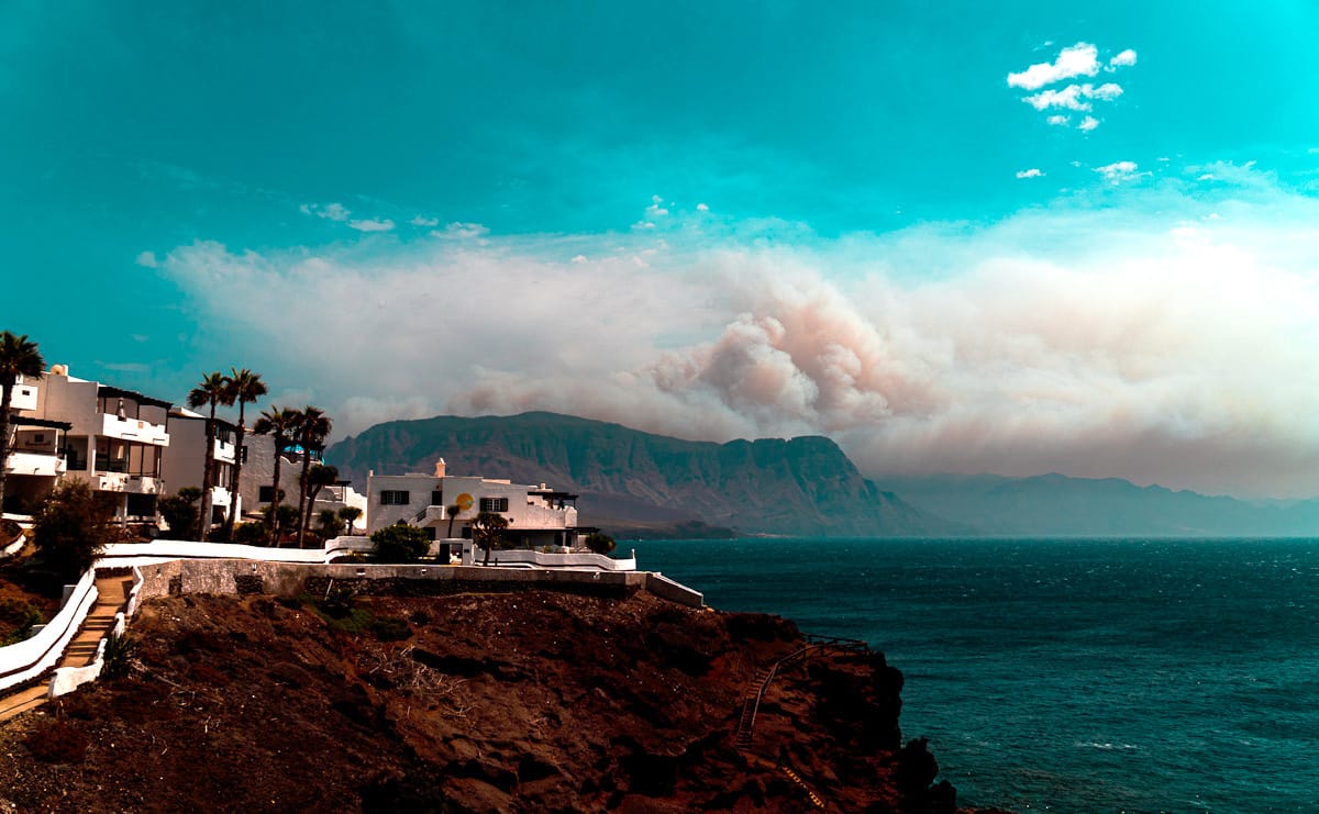 Gran Canaria renace como el Ave Fénix 2 años después del incendio