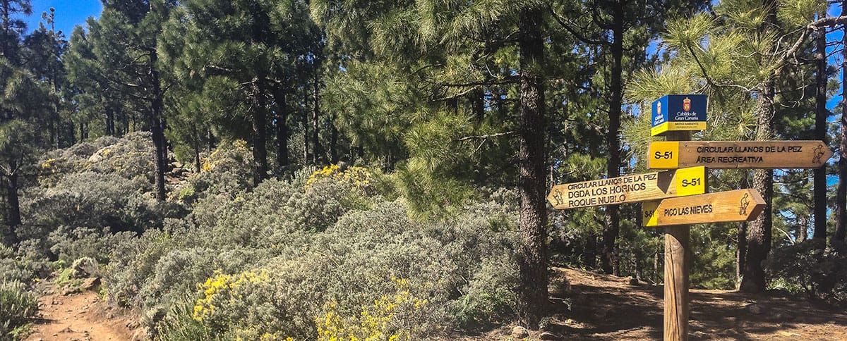 postes direccionales de senderismo gran canaria